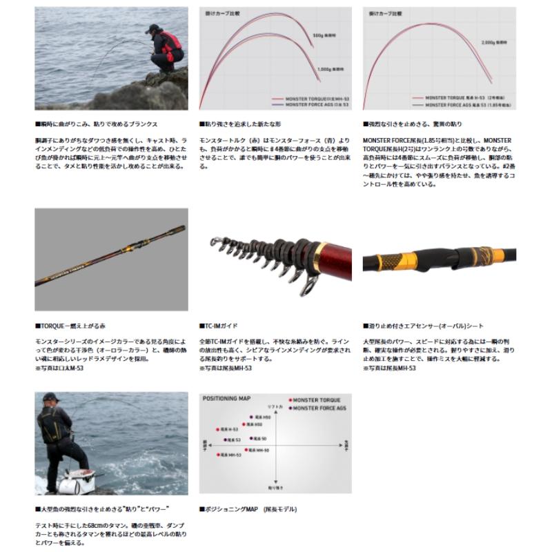 DAIWA（釣り） ダイワ モンスタートルク 尾長MH-50 【大型商品1