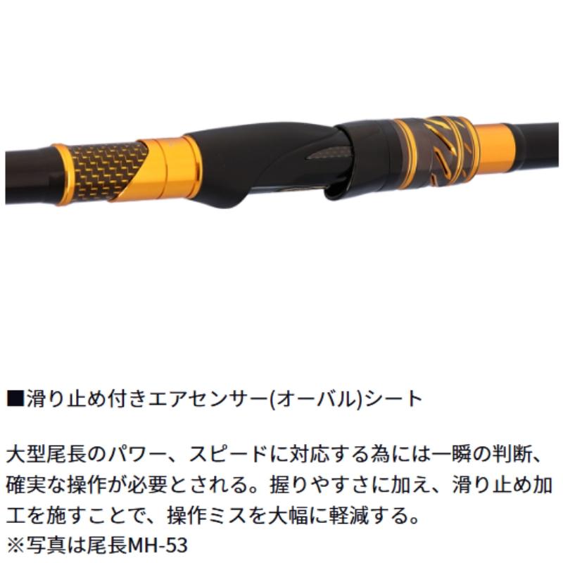 DAIWA（ダイワ） ダイワMONSTERTORQUE(モンスタートルク)尾長MH-53
