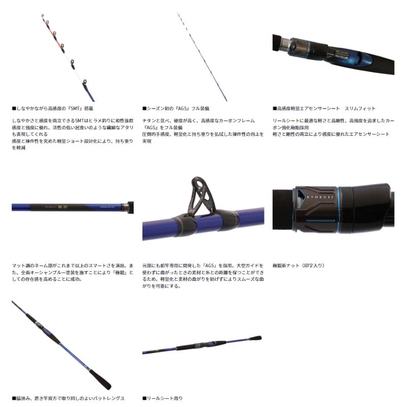 DAIWA（ダイワ） ダイワ極鋭ヒラメM-240・K【大型商品160】 : つり具の