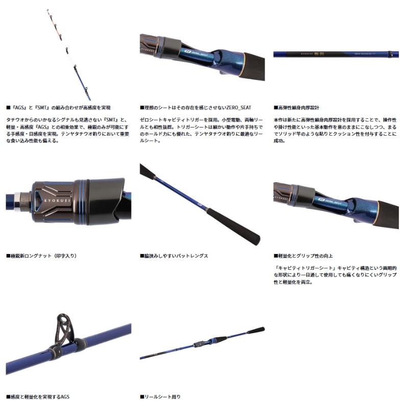 DAIWA（ダイワ） ダイワ極鋭テンヤタチウオ91H-161【大型商品160