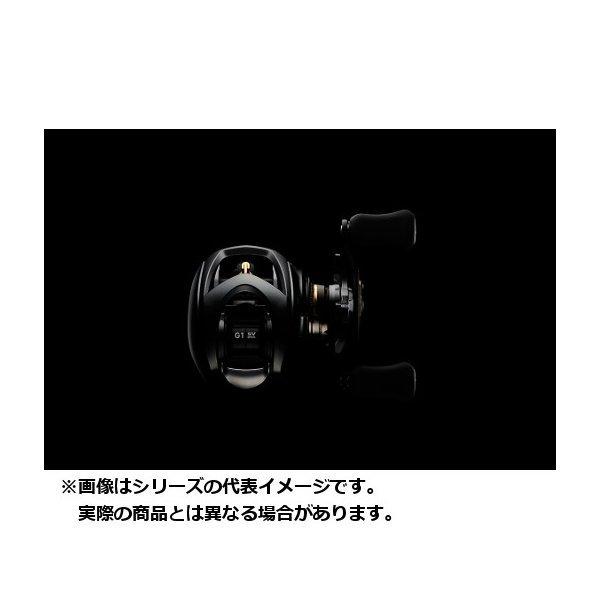 DAIWA（ダイワ） 19 STEEZ(スティーズ) CT SV TW 700HL(左) : つり具の