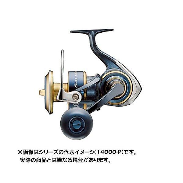 DAIWA（釣り） ダイワ 20 ソルティガ 18000-P : つり具のヨコオ