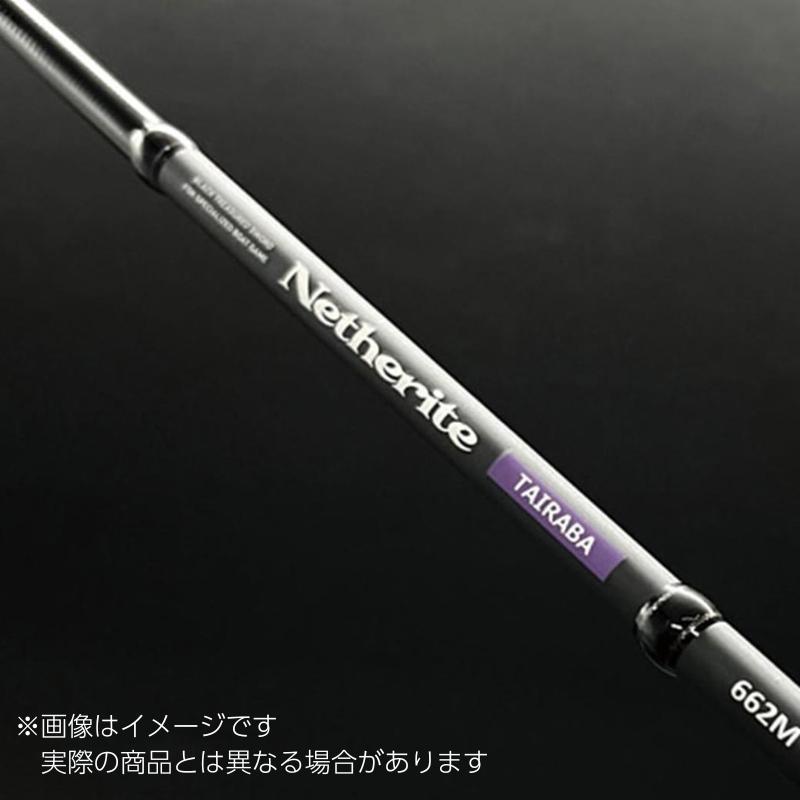 プロマリン（PRO MARINE） プロマリンネザライトタイラバ662H【大型