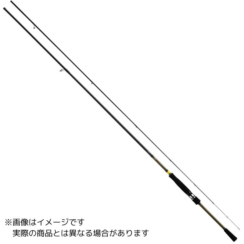 DAIWA（釣り） 【予約商品】 ダイワ AYUING X 100MS-S 【大型商品2】 3 