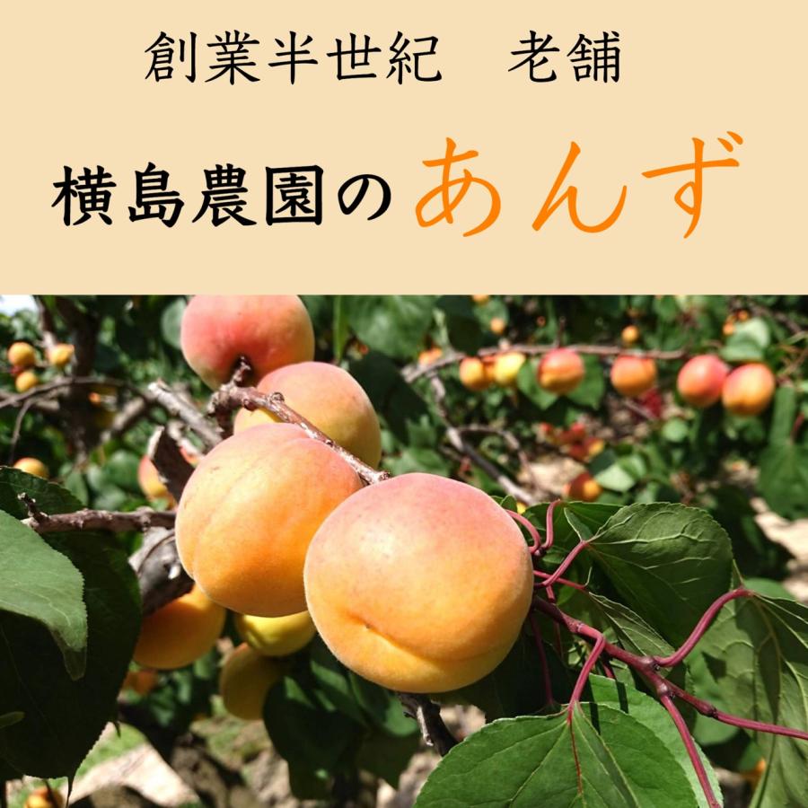 セミドライあんず 100g」 ドライアプリコット 長野県産あんず