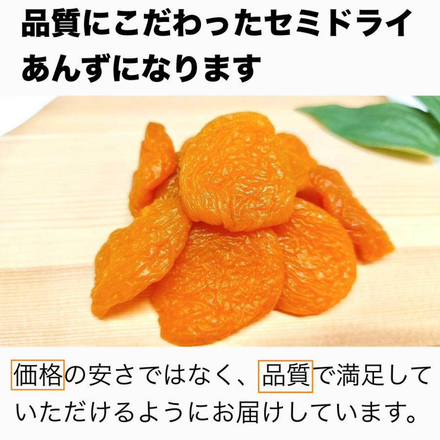 セミドライあんず 100g」 ドライアプリコット 長野県産あんず