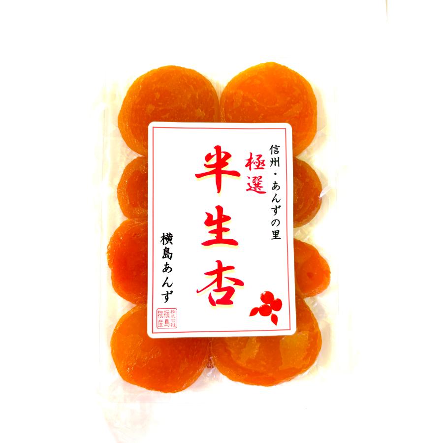 極選 半生杏 100g 」 極上杏 アプリコット ドライフルーツ 横島あんず
