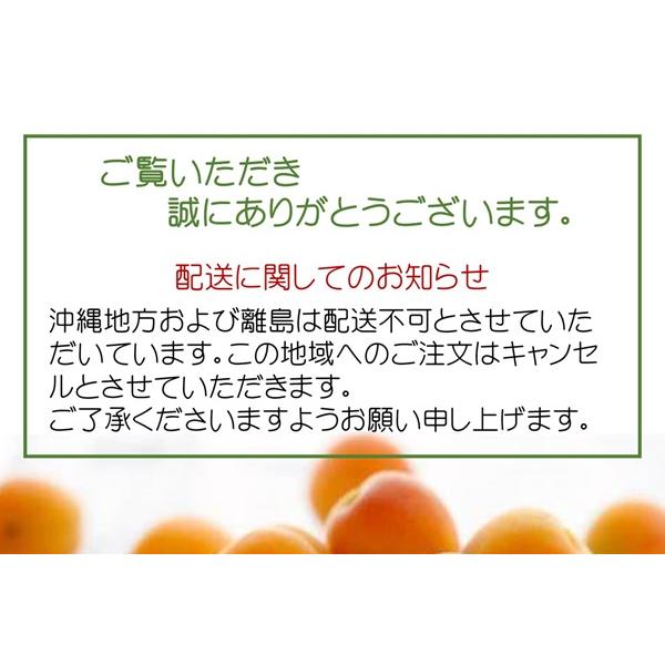 極選 半生杏 100g 」 極上杏 アプリコット ドライフルーツ 横島あんず