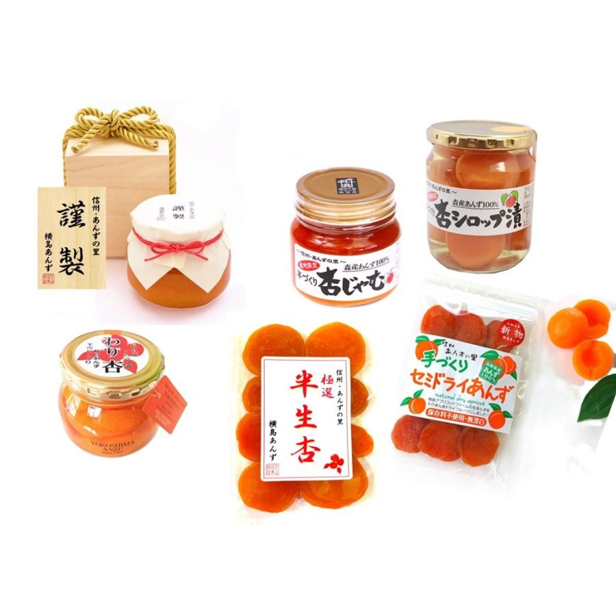 極選 半生杏 100g 」 極上杏 アプリコット ドライフルーツ 横島あんず
