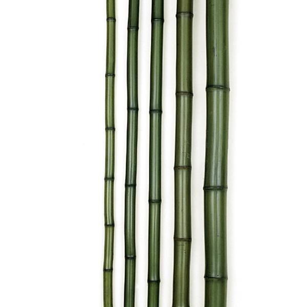 染青竹 真空加圧防虫品長さ3,950mm*径Φ75~81mm