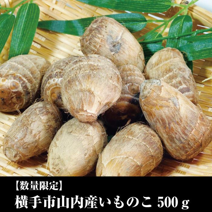 数量限定 横手市山内産 いものこ 500ｇ サイズミックス 里芋 秋田 B1 あきた横手の収穫便 通販 Yahoo ショッピング