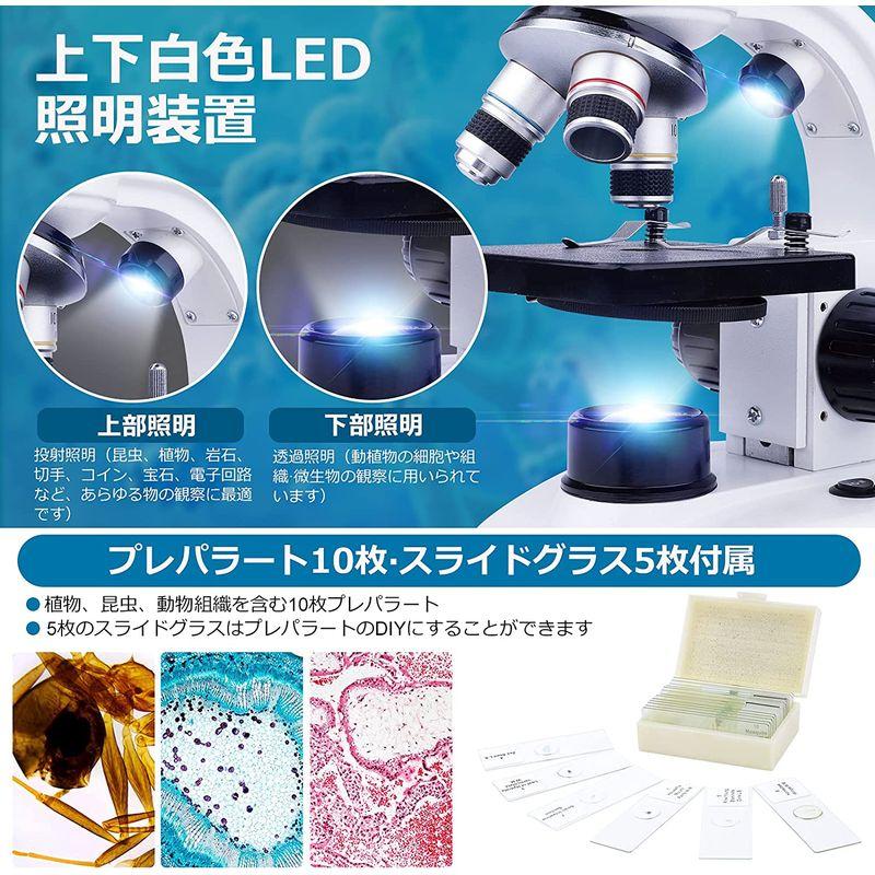 見事な顕微鏡 双眼 40?1000倍 スマホ 学校 学生 生物標本 学習用 撮影