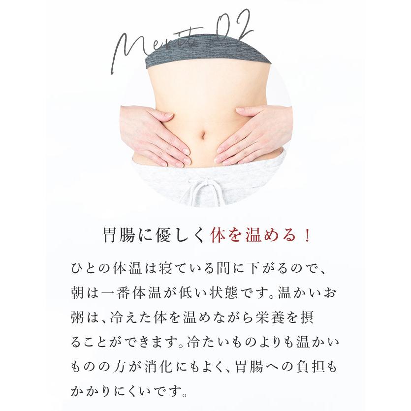 低価格 玄米まるごと玄煎粉３個セット無添加国産玄米粉100 Babylonrooftop Com Au