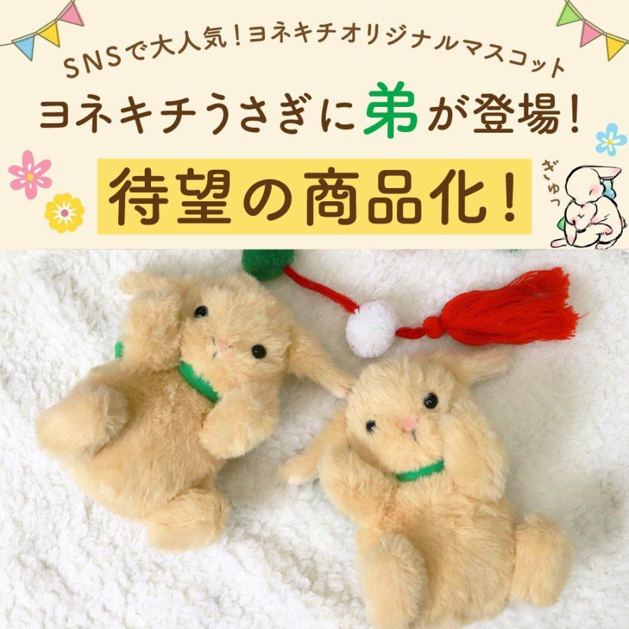 ほっこりふわふわ立ち耳うさちゃん＊チビチビベア付き 【公式通販】