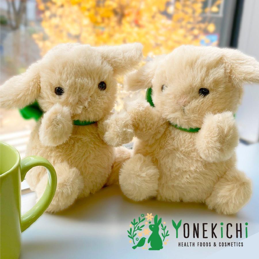 うさぎ ぬいぐるみ たれ耳 ふわふわ 小さい かわいい ちびきち