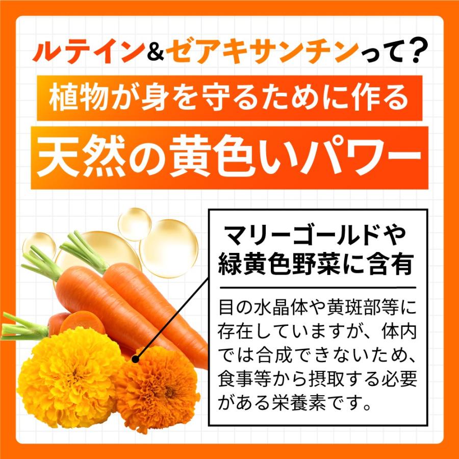 ルテイン サプリ ゼアキサンチン DHA アスタキサンチン ビルベリー ビタミンACE フリー体 日本製 アイケア 62粒 31日分 | YONEKiCHi | 02