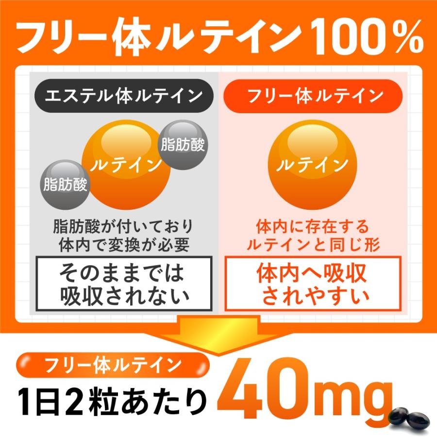 ルテイン サプリ ゼアキサンチン DHA アスタキサンチン ビルベリー ビタミンACE フリー体 日本製 アイケア 62粒 31日分 | YONEKiCHi | 03
