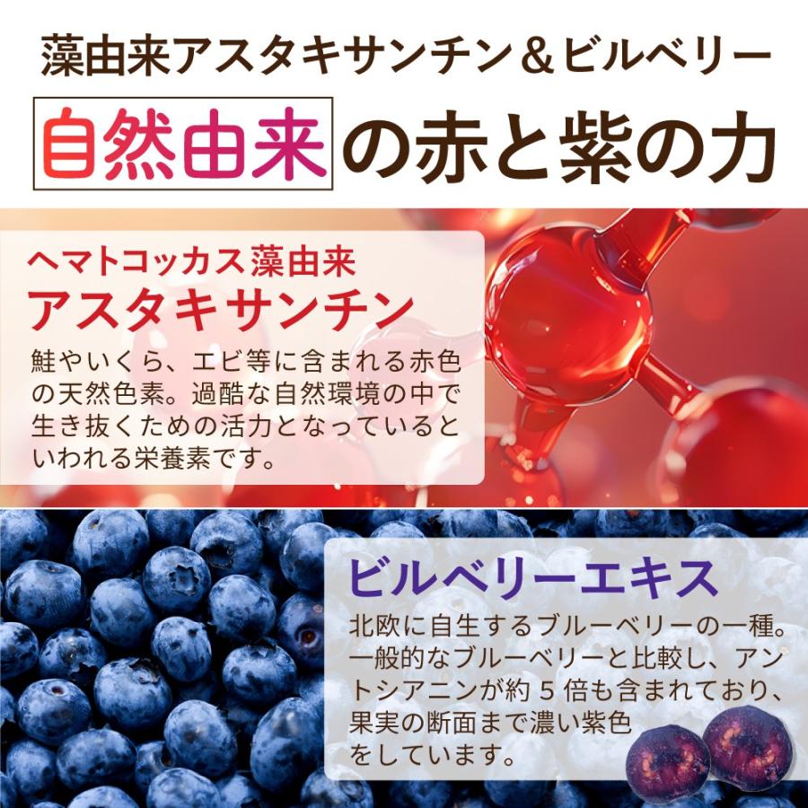 ルテイン サプリ ゼアキサンチン DHA アスタキサンチン ビルベリー ビタミンACE フリー体 日本製 アイケア 62粒 31日分 | YONEKiCHi | 05