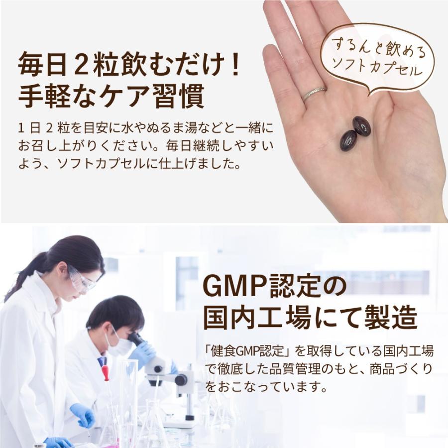 ルテイン サプリ ゼアキサンチン DHA アスタキサンチン ビルベリー ビタミンACE フリー体 日本製 アイケア 62粒 31日分 | YONEKiCHi | 07