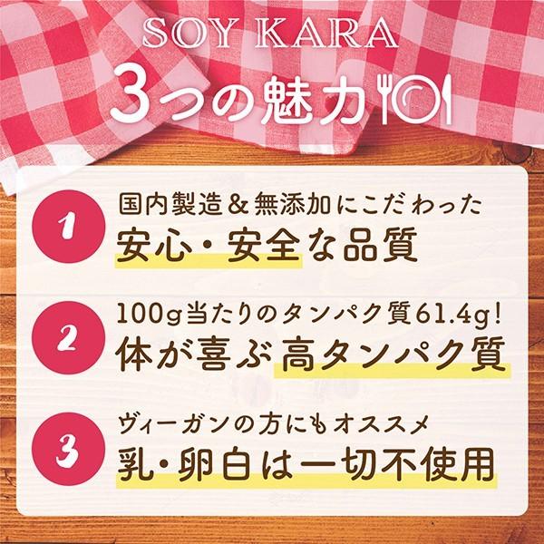 大豆ミート 4個セット 送料無料 唐揚げ ブロック 大豆のお肉 SOYKARA ベジタリアン 食物繊維 440g｜yonekichi｜05