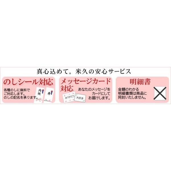 お届けは8月15日まで】 お中元 ハム 2023 お中元ギフト 御中元 ギフト 林檎の樹からの贈り物 セット 詰め合わせ ハムギフト お取り寄せグルメ 人気 2023 :46141-140601s:感動を創る 米久 通販 アウトレット 割引 セール ハム 鎌倉ハム富岡商会 鎌倉ハムギフトセット KA-523 お取り寄せ 自家消費 数量限定 在庫処分