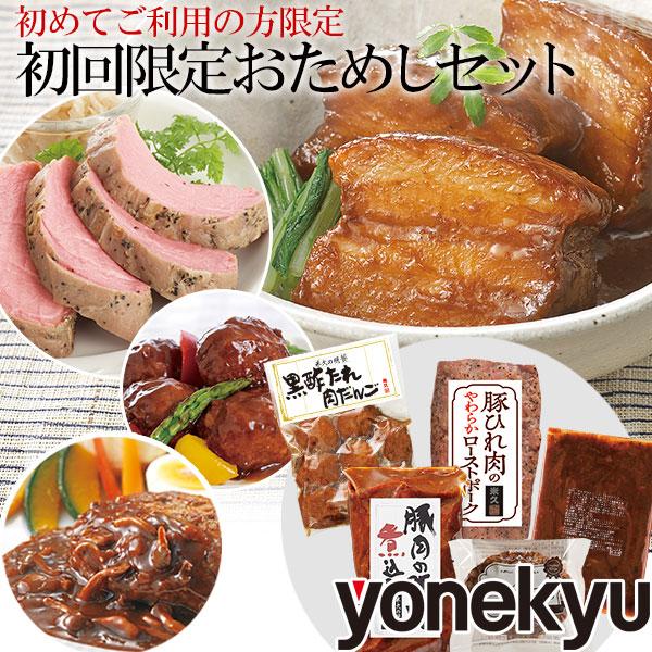 お歳暮     初回限定 おためし セット お試し 詰め合わせ 豚肉の味噌煮込み ローストポーク ハンバーグ  ご飯のお供 2025