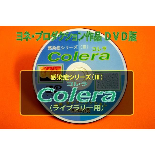 蝶標本 アケボノアゲハ・ジャコウアゲハ各種 産地別コレクション 2025