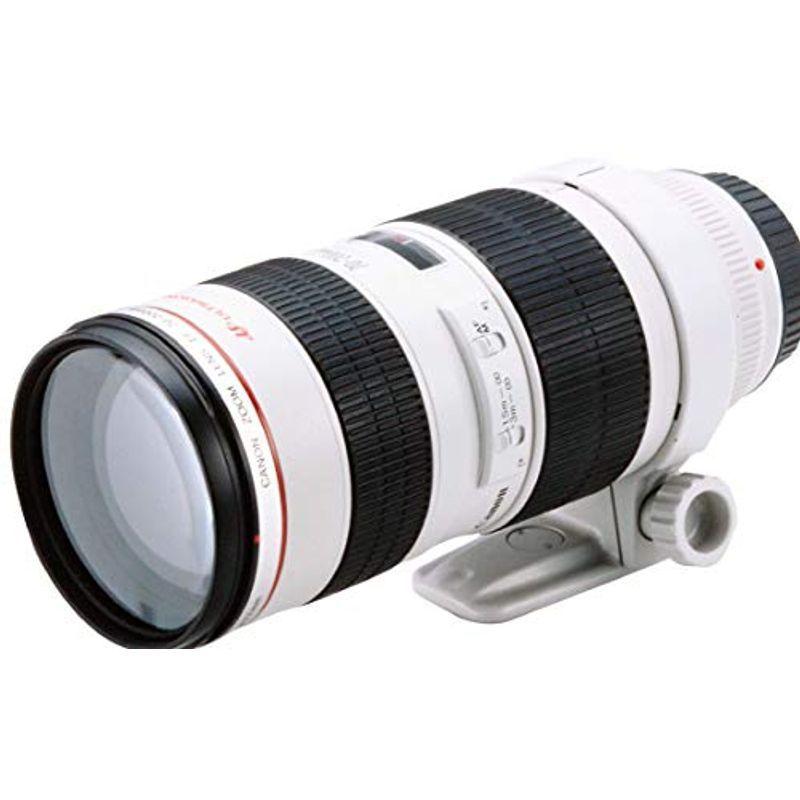 Canon 望遠ズームレンズ EF70-200mm F2.8L USM フルサイズ対応 旬新作
