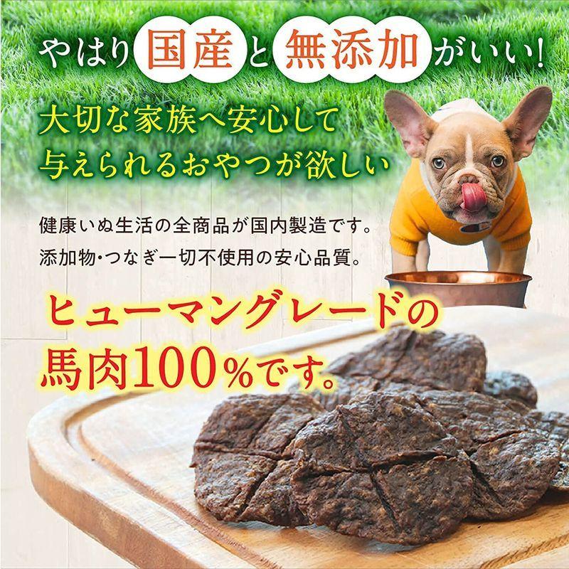 健康いぬ生活 国産 馬肉100 ドライバーグ 180g 60g 3袋 ソフト 無添加 シニア 犬 ジャーキー 老犬 手作り ヒューマン