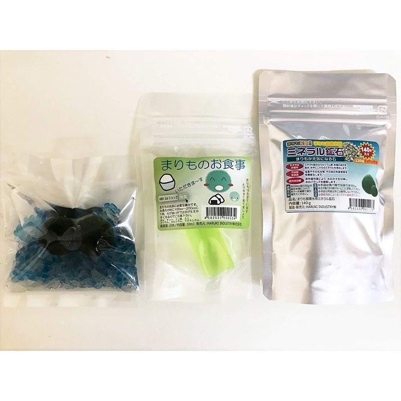 市場 国産 1ｃｍ マリモ 1個 Sサイズ