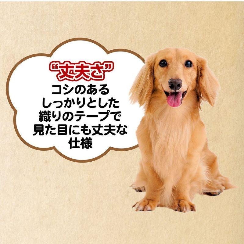 観客 スチュワード レビュアー Petio ハーネス Tokyo Toshinkai Jp