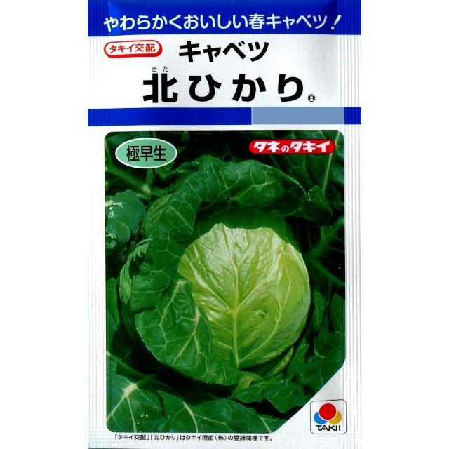 キャベツ 北ひかり タキイ種苗 2ml 秋まき 野菜種 お得 Df