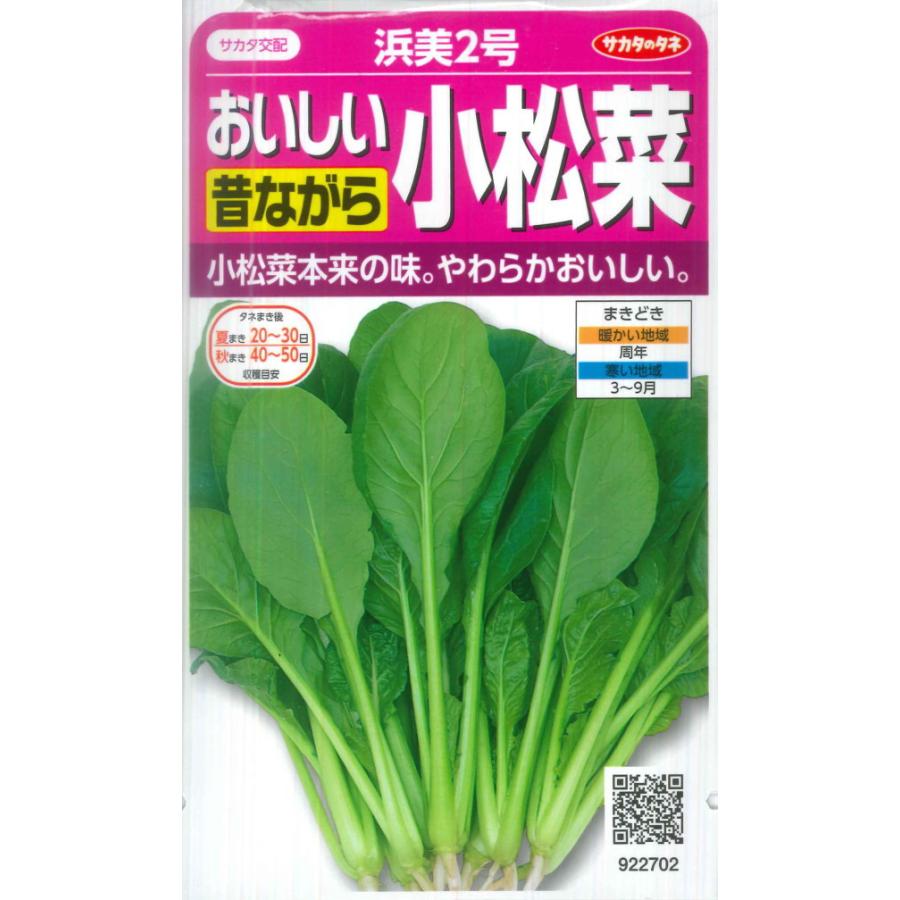 おいしい昔ながら小松菜 浜美2号 サカタ交配 10ml コマツナ 秋まき 春まき kom Hamami2 Hana Uta 米沢園芸 Yahoo 店 通販 Yahoo ショッピング