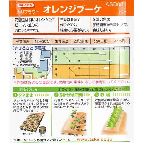 サカタのタネ（サカタノタネ） 【カリフラワー】オレンジブーケ