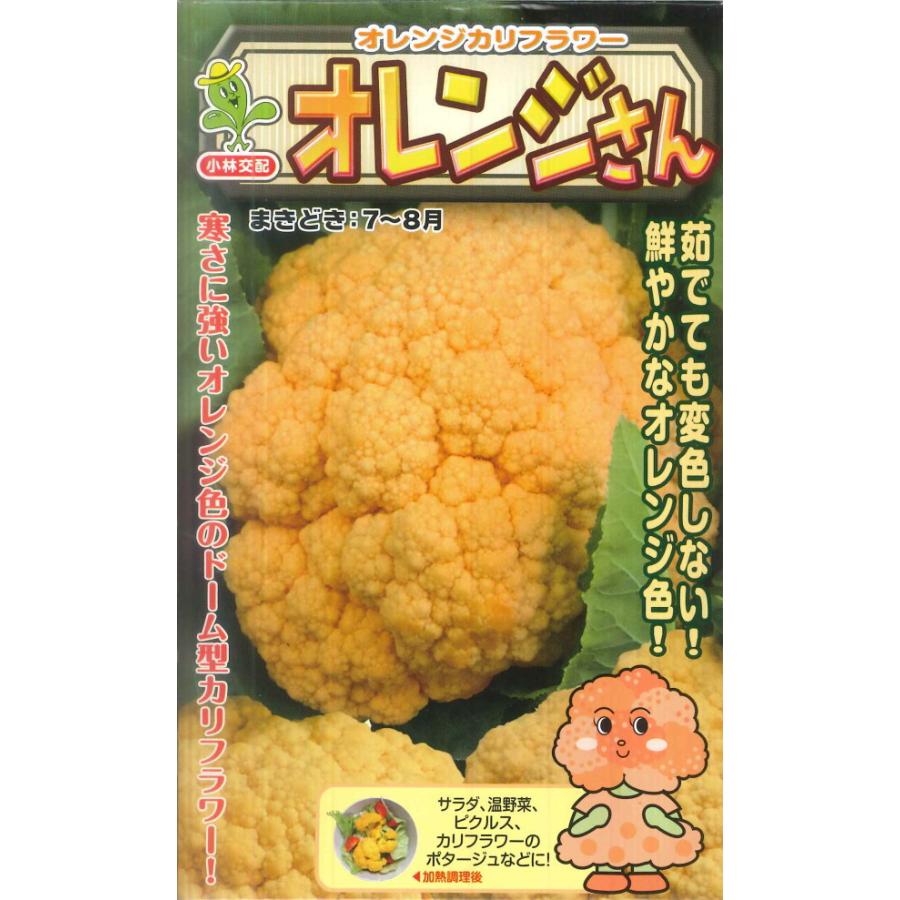 オレンジカリフラワー オレンジさん 小林種苗 25粒 野菜種 小林交配 秋まき orangesan Hana Uta 米沢園芸 Yahoo 店 通販 Yahoo ショッピング