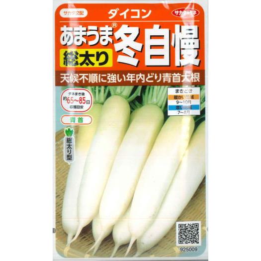 冬どりあまうま大根】冬自慢【サカタ交配】（10ml）野菜種/ダイコン[秋