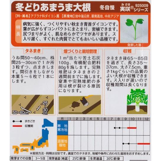 冬どりあまうま大根】冬自慢【サカタ交配】（10ml）野菜種/ダイコン[秋