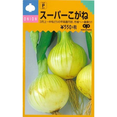 タマネギ】スーパーこがね【中原採種場】（3.5ml）[秋まき]野菜