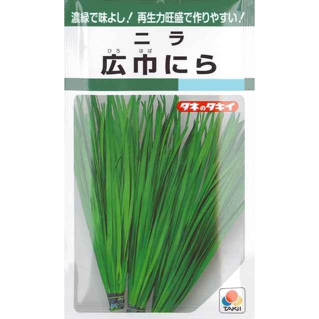 サカタのタネ（サカタノタネ） 【ニラ】広巾にら 【タキイ種苗】（13ml