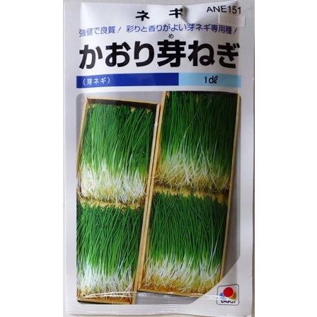 かおり芽ねぎ 1dl 野菜種 葱 秋まき 春まき 袋デザインが