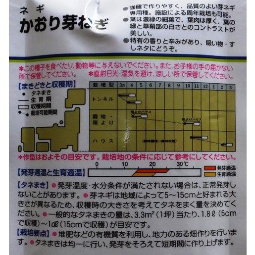 サカタのタネ（サカタノタネ） 【芽ネギ】かおり芽ねぎ 【タキイ