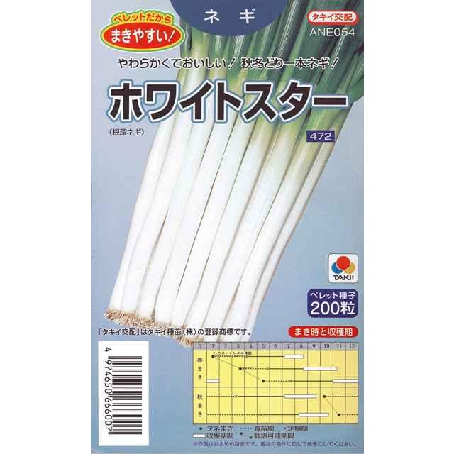 サカタのタネ 【根深ネギ】ホワイトスター 【タキイ交配 サカタのタネ 【根深ネギ】ホワイトスター 【タキイ交配