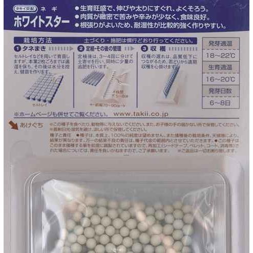 サカタのタネ 【根深ネギ】ホワイトスター 【タキイ交配 サカタのタネ 【根深ネギ】ホワイトスター 【タキイ交配
