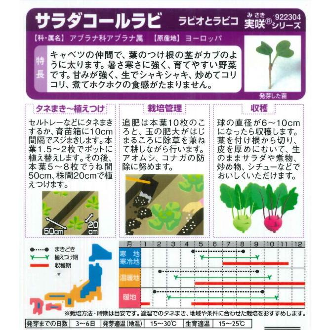 サラダコールラビ ラビオとラビコ サカタのタネ 80粒 野菜種 春まき 秋まき rabiorabbiko Hana Uta 米沢園芸 Yahoo 店 通販 Yahoo ショッピング