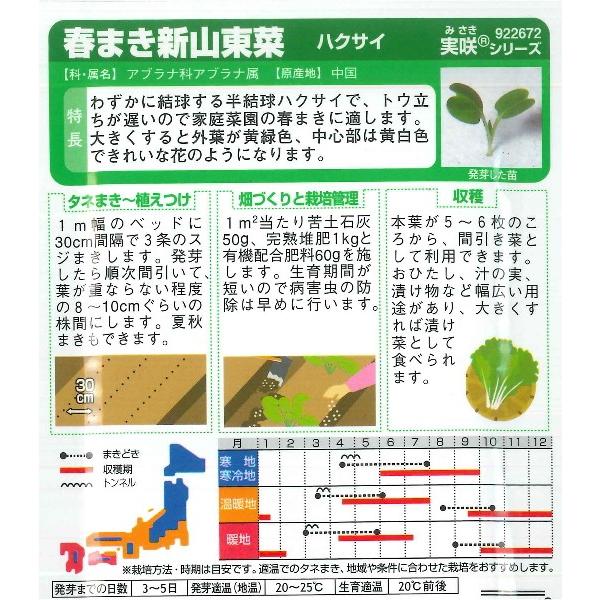 ハクサイ 春まき新山東菜 サカタのタネ 10ml 白菜 サントウサイ 野菜種 春まき 秋まき sinsantousai Hana Uta 米沢園芸 Yahoo 店 通販 Yahoo ショッピング