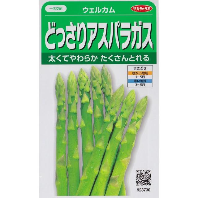 サカタのタネ（サカタノタネ） 【どっさりアスパラガス】ウェルカム