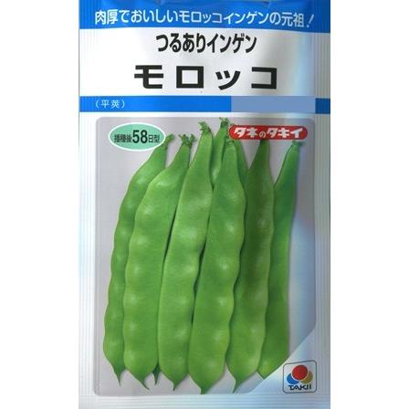 ★数量限定★希少モロッコ産【200g天然クリスタル♢希少ダブルポイント入り】❤️ サカタのタネ（サカタノタネ） 【つるありインゲン】モロッコ【タキイ