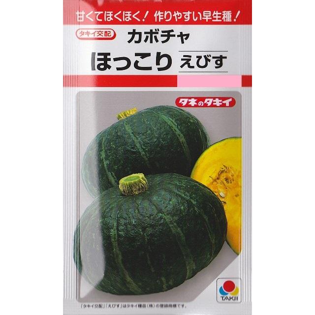 サカタのタネ（サカタノタネ） 【カボチャ】ほっこりえびす【タキイ