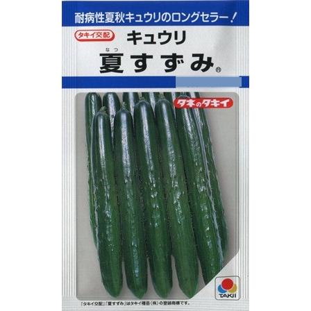 期間限定出品　　水稲用苗　　　品種名・夏の笑み　25枚 サカタのタネ（サカタノタネ） 【キュウリ】夏すずみ 【タキイ種苗