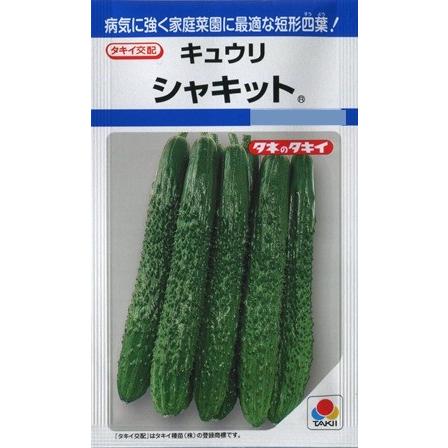 サカタのタネ（サカタノタネ） 【キュウリ】シャキット 【タキイ種苗